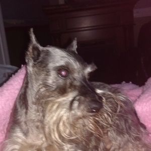 Meet your Posher, Jan